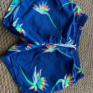 Chubbies Men’s swim trunks
